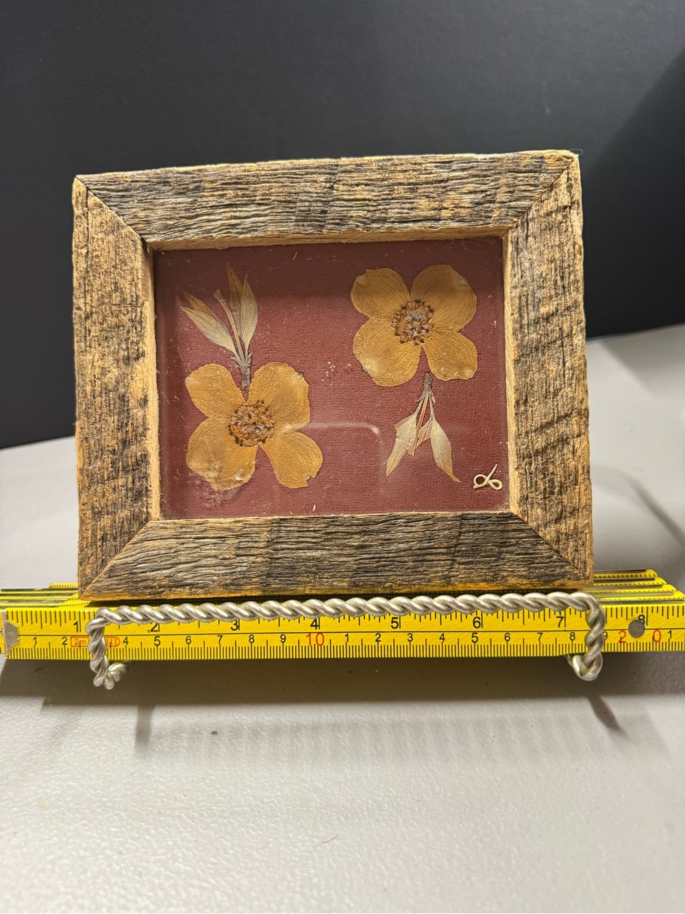 Darien Russell Legend of the Dogwood Pressed Dogwood Flower Art